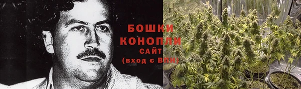 прущая мука Карпинск